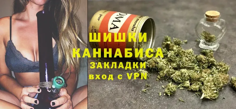 сколько стоит  Петровск  Бошки марихуана Bruce Banner 